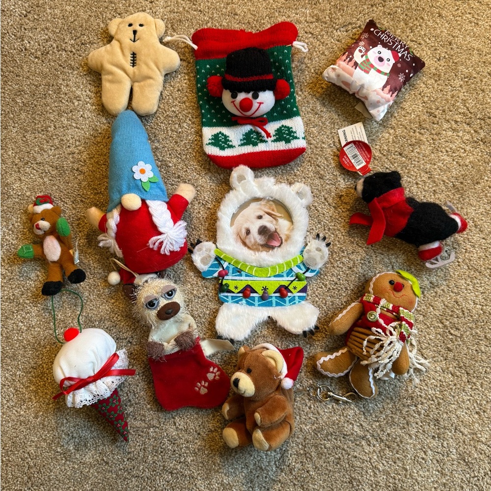 Bundle of 11 Christmas holiday items